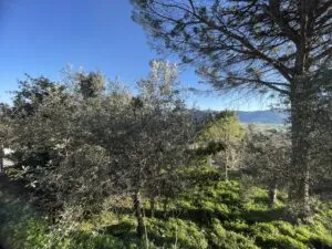 la casa degli abbracci