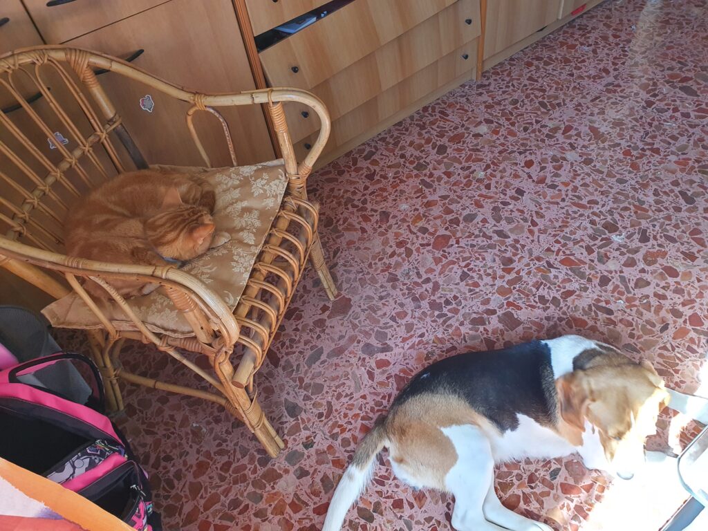 Lussy e Luke si concedono relax