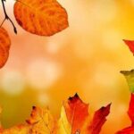 Annunci d'autunno