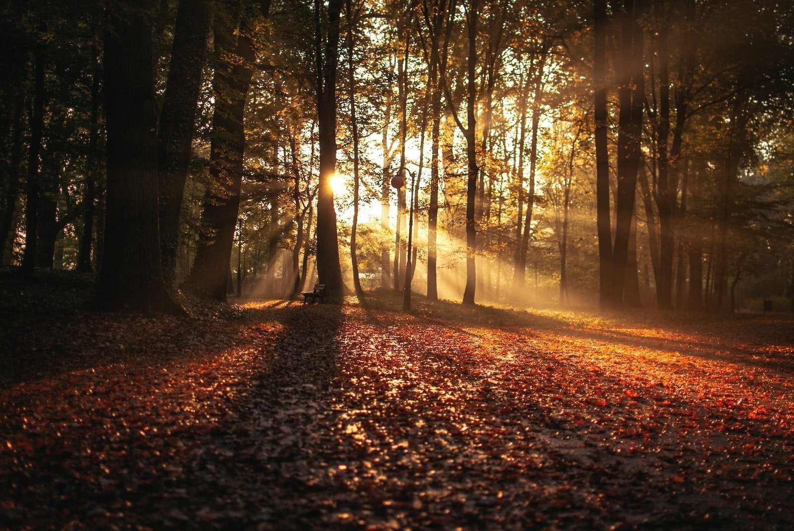 cantilena di novembre