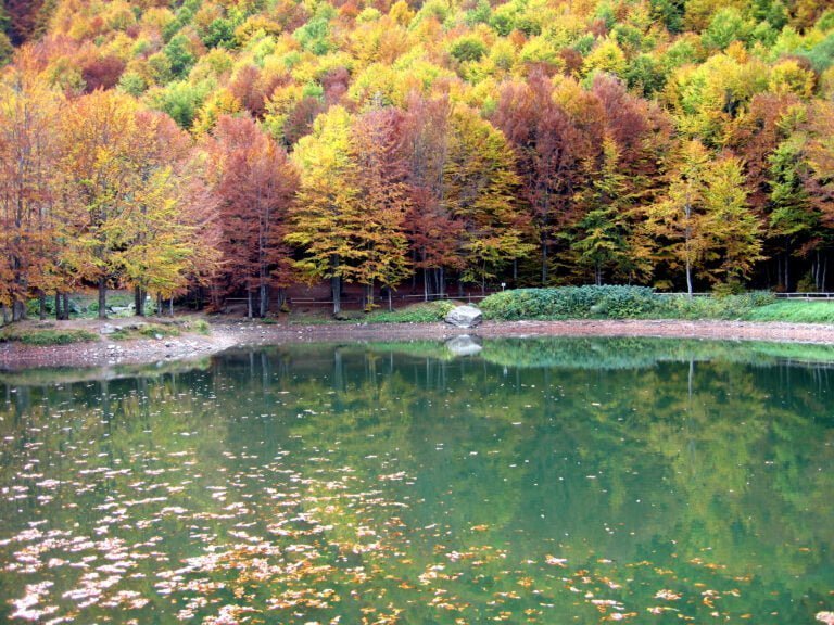 il laghetto d'autunno