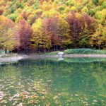 il laghetto d'autunno