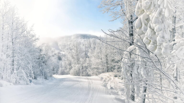 neve, paesaggio innevato, montagna