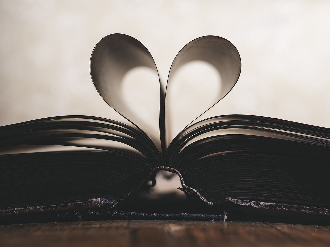 libro aperto a forma di cuore