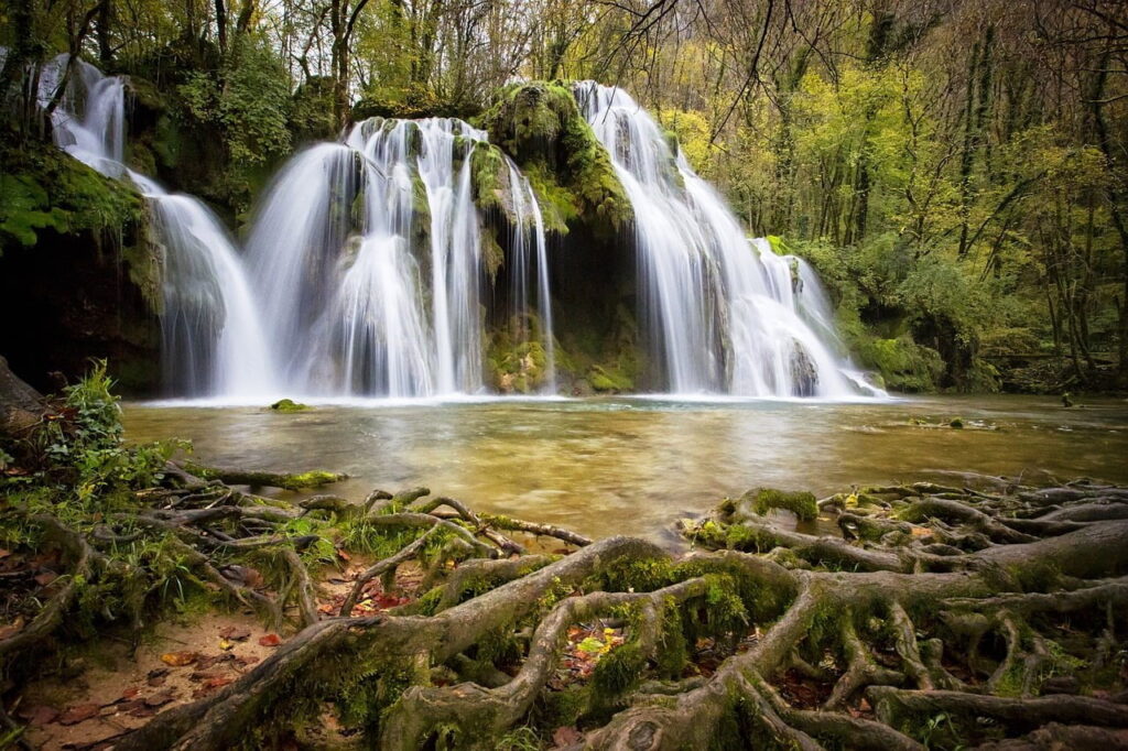 cascata d'acqua e radici