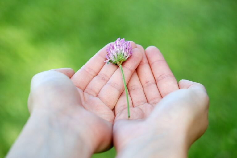 avere cura di un fiore