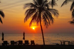 resort, spiaggia, spiaggia con palme di notte