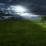 tree, meadow, clouds