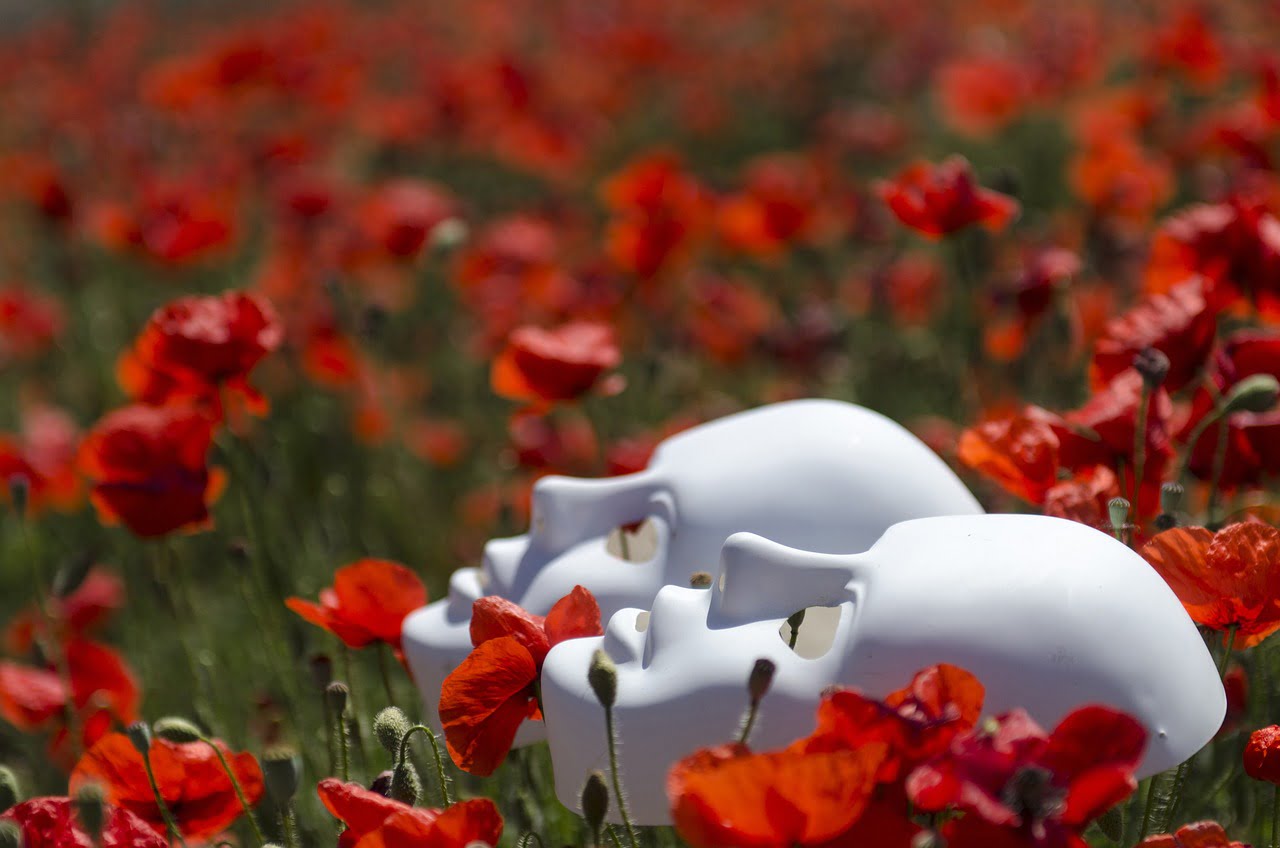 mask, poppies, field