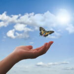 hand, butterfly, clouds, mano che vola la farfalla