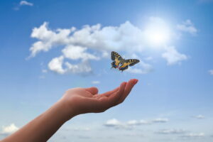 hand, butterfly, clouds, mano che vola la farfalla