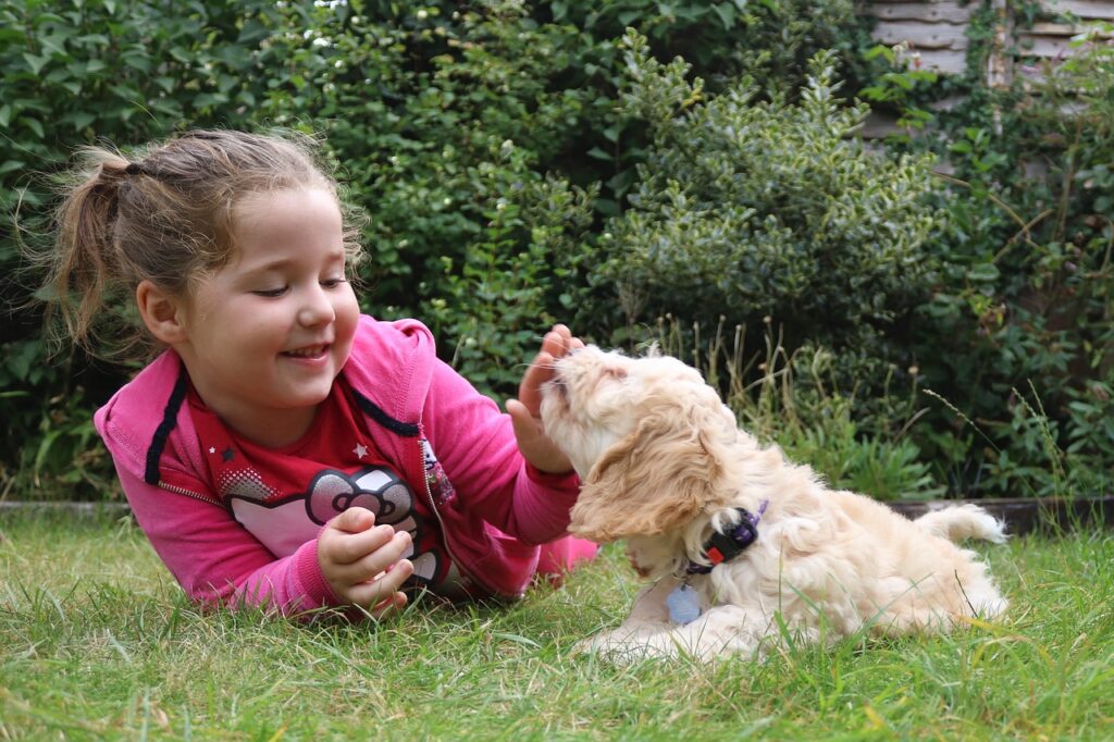 bambina gioca con cane