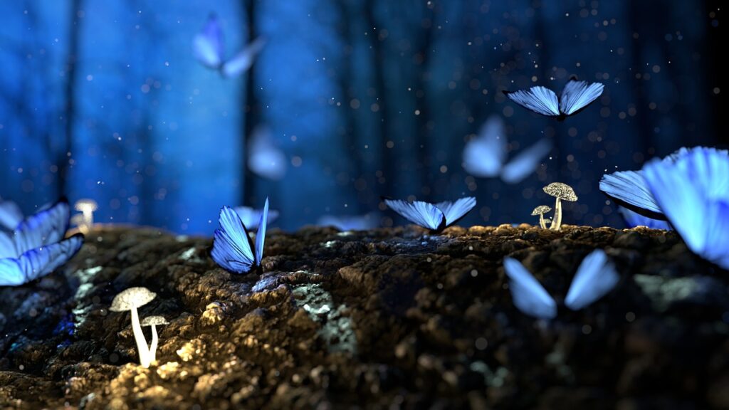 fantasy, butterflies, mushrooms