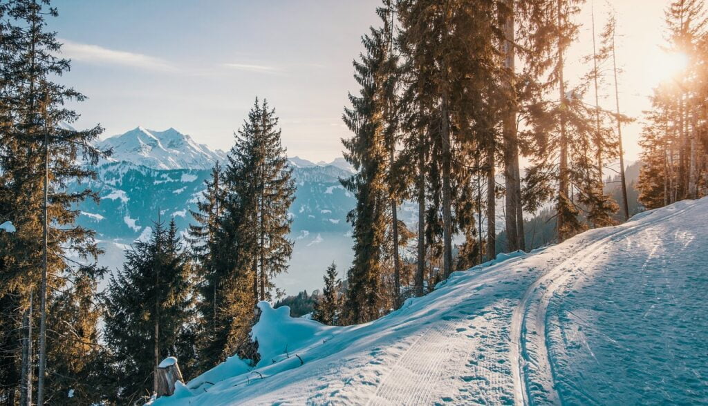 Una domenica in montagna