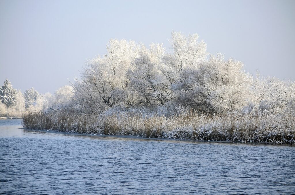 paesaggio neve