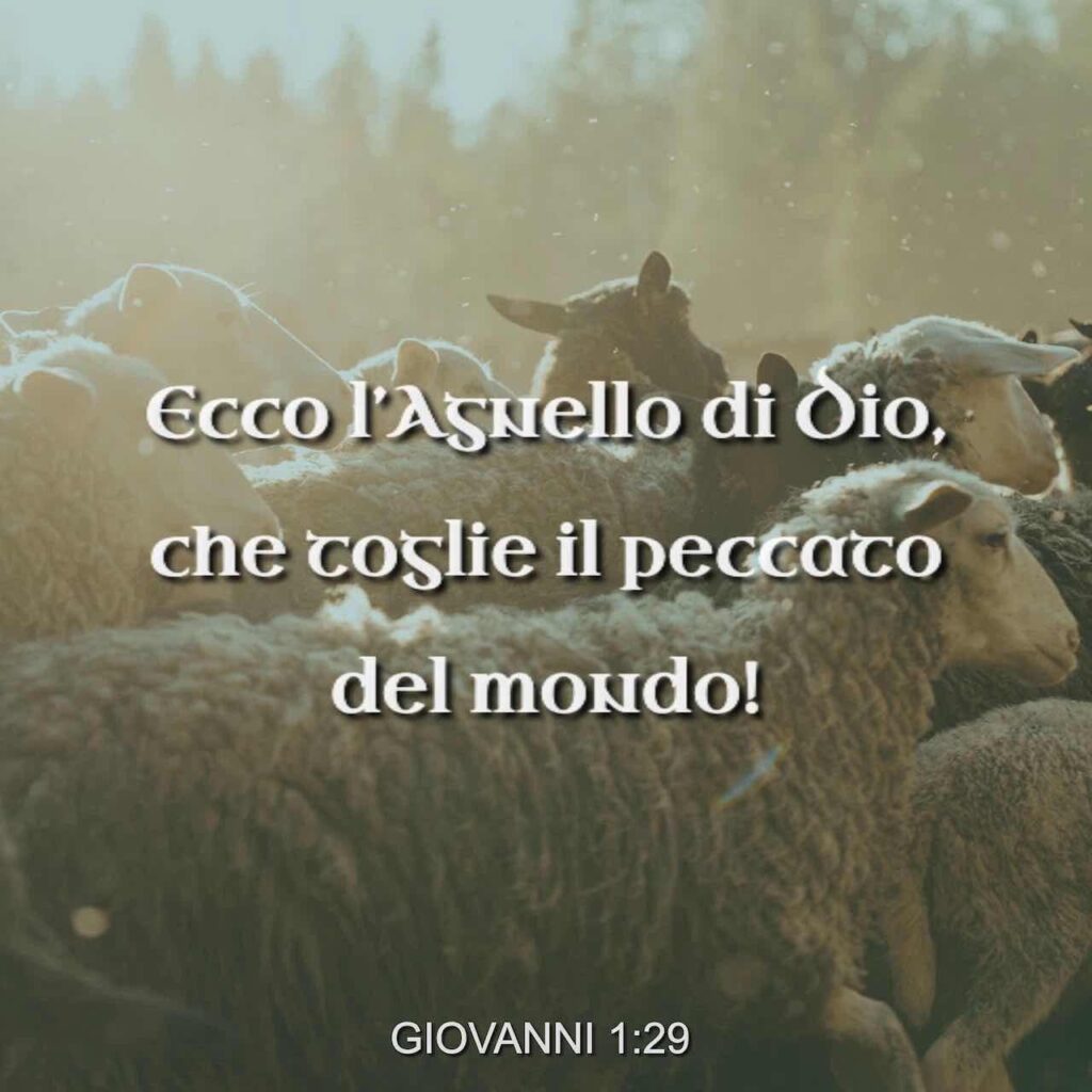 Agnello di Dio