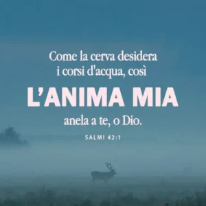 anima mia