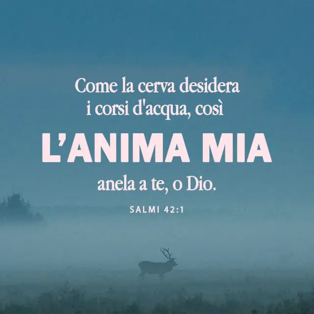 anima mia