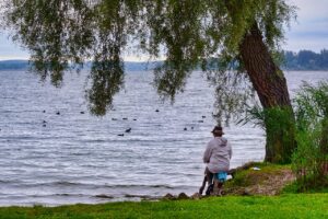 person, lake, tree, seduto sotto un albero