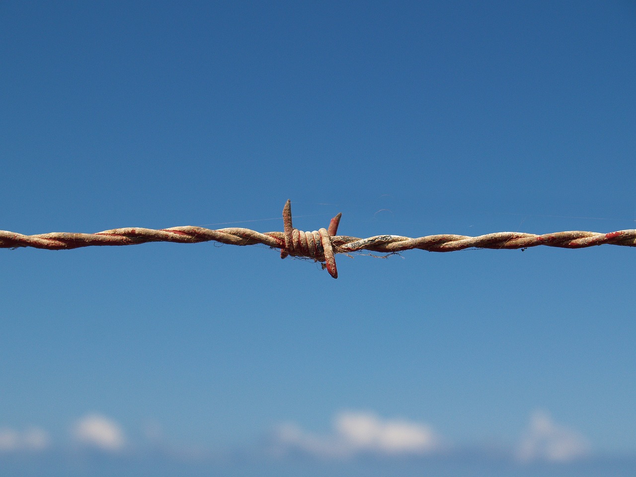 barbed wire, refugees, border, filo spinato