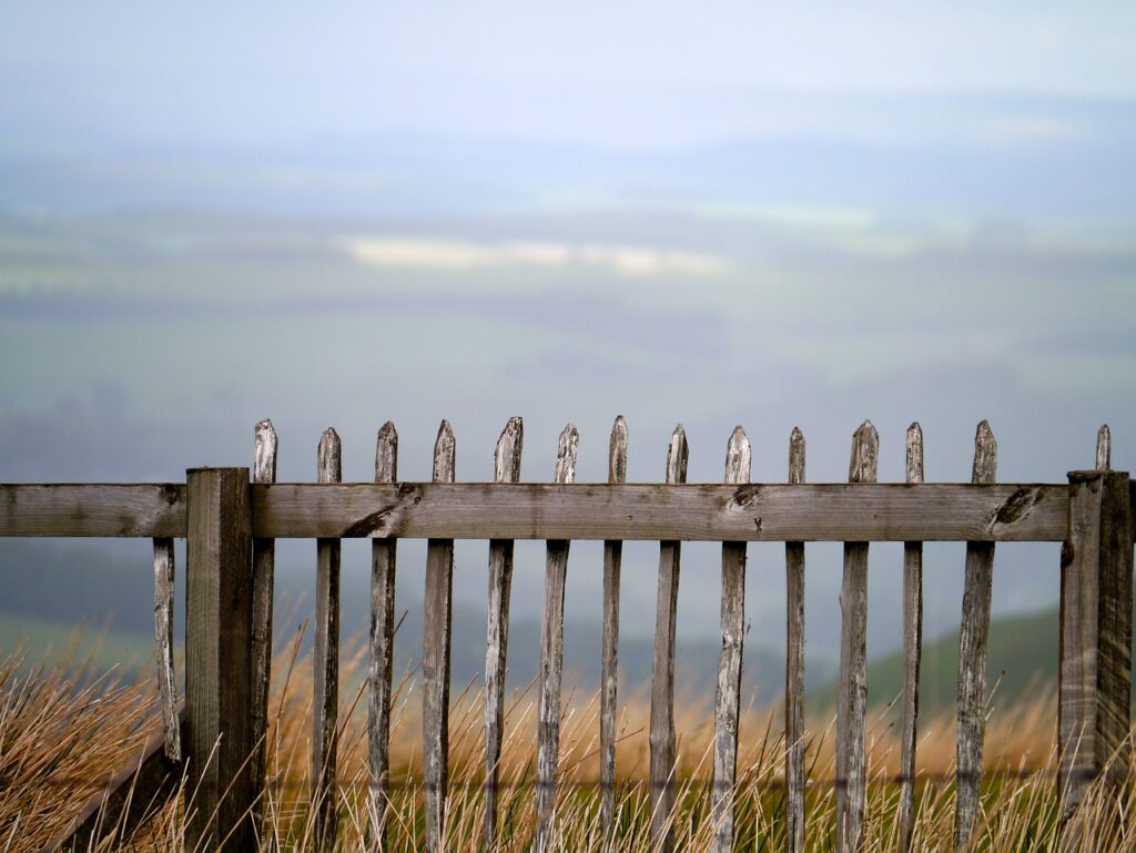 scotland, border, fence, cancello su panorama