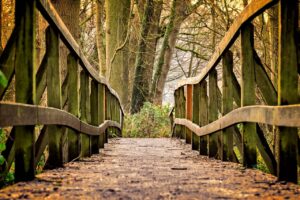 bridge, path, park, ponte di legno nel parco