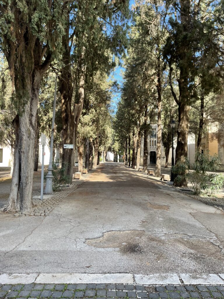 Preghierina del 6 ottobre 2024,weekend fatto di amore,cimitero di foggia,le strade della mia città