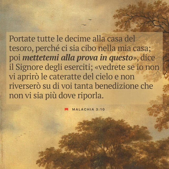 Generosità e Provvidenza,Meditazione di oggi giovedì 17 ottobre 2024