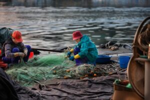 fishing net, fisherman, fishing, pescatori