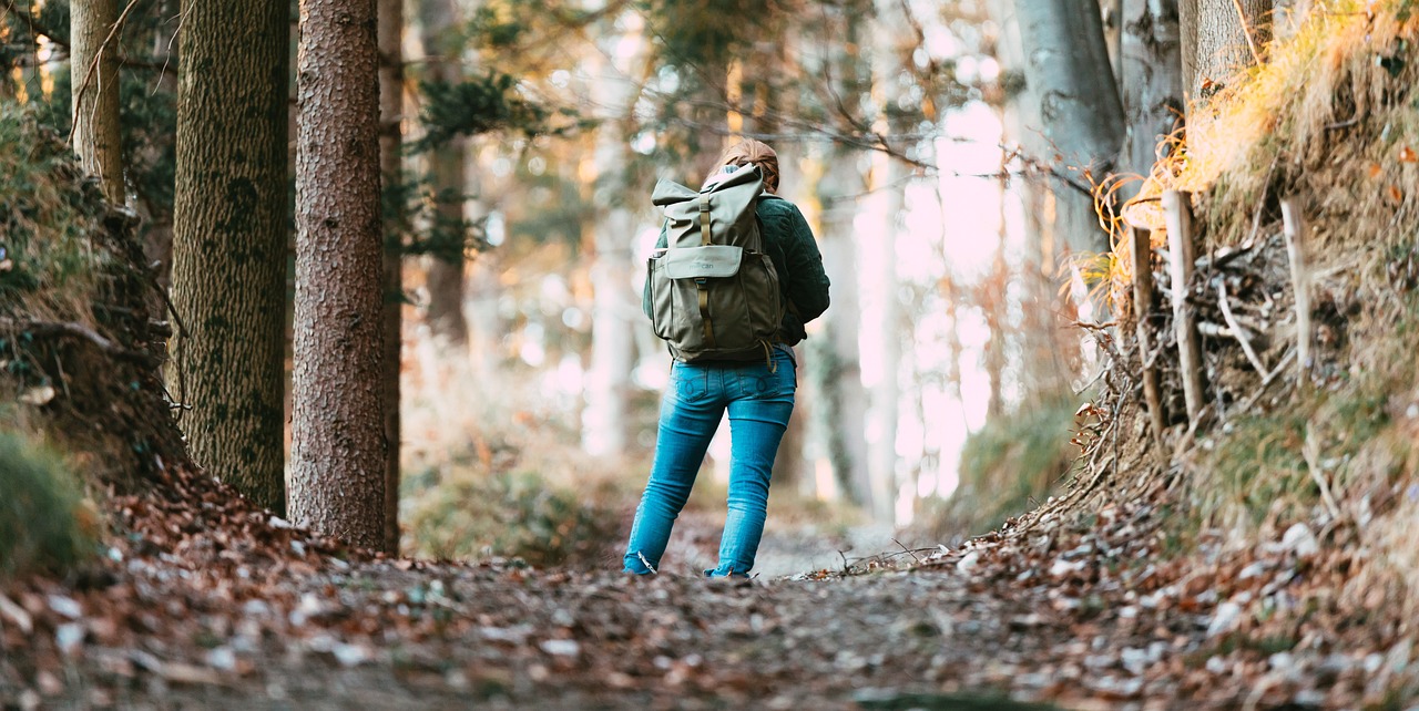 woman, girl, forest, perso, smarrito