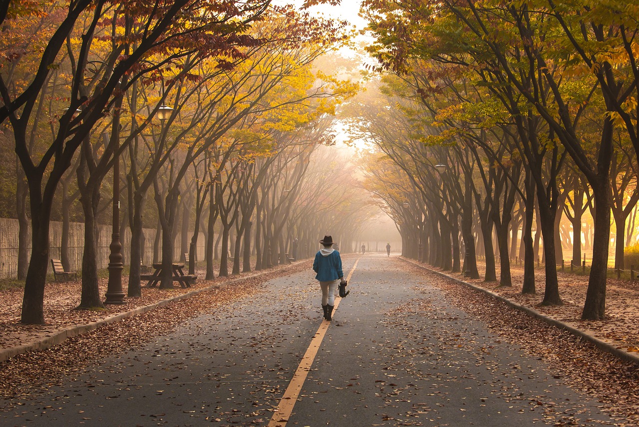 road, pavement, woman, camminare nel viale alberato