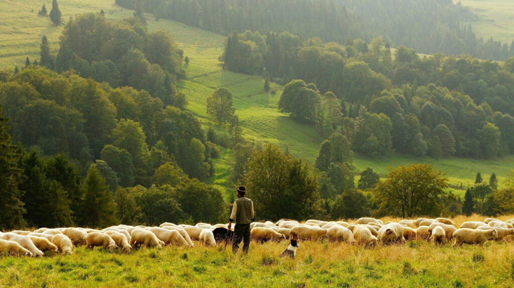 Il pastorello e l'eco