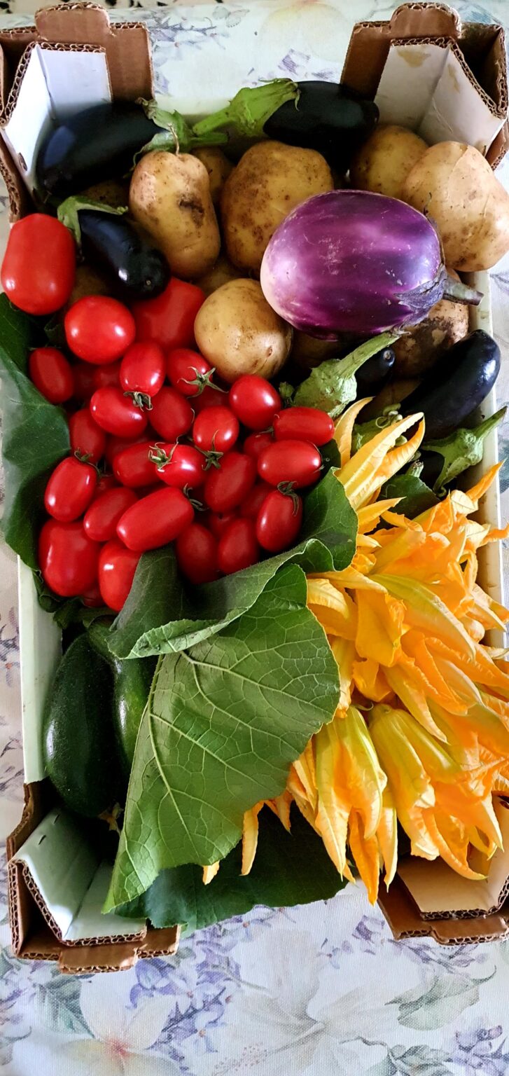 frutti della terra di Crescenzo, Maria Carmela e Dario