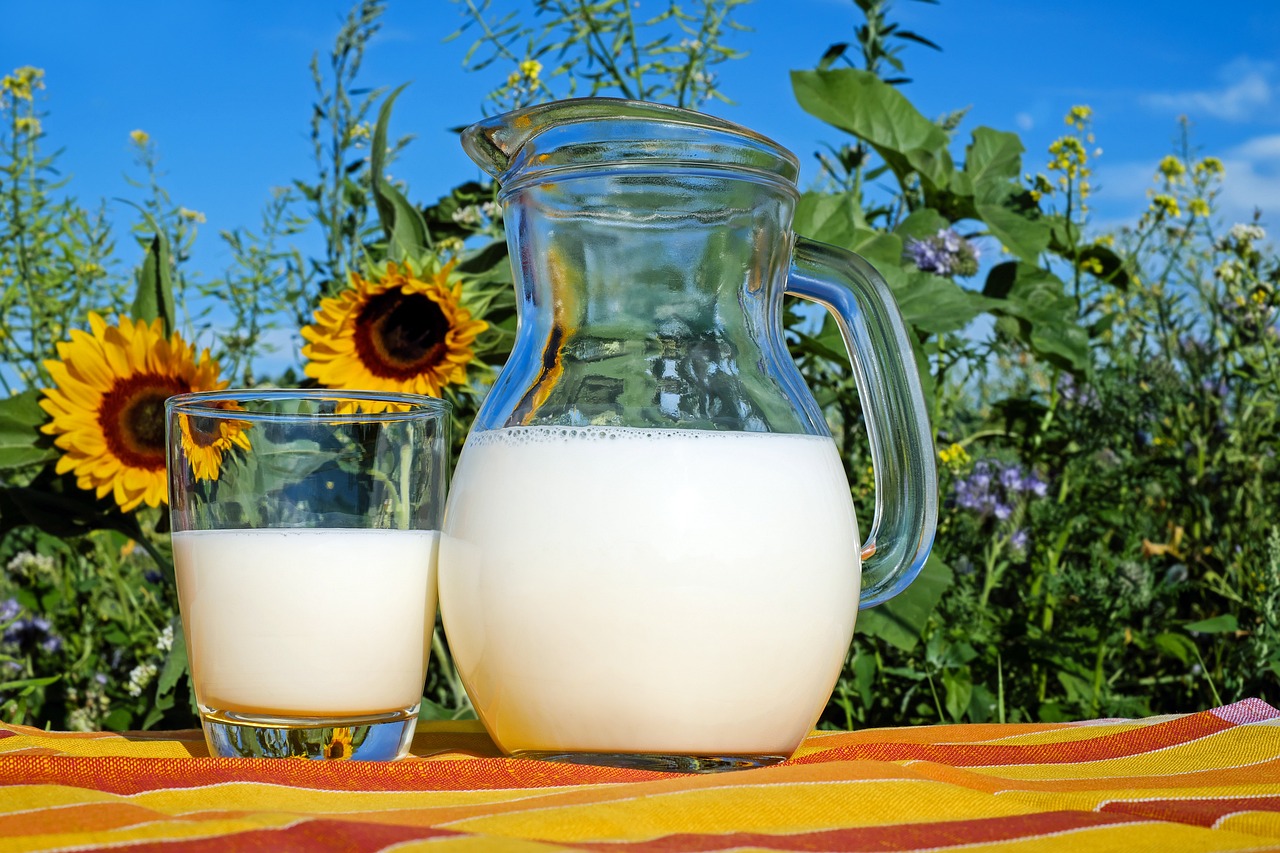 milk, glass, pitcher, fresh, fresh milk, drink, beverage, dairy, dairy products, glass pitcher, healthy, delicious, vitamins, liquid, cow's milk, protein, nutrition, milk, milk, milk, milk, milk