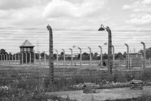 auschwitz, birkenau, the holocaust, the war, concentration camps, nazism, history, prison, jews, europe, world war, memorial, auschwitz, auschwitz, auschwitz, auschwitz, auschwitz, nazism, prison, prison, prison, world war, campo di concentramento