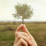 granello di senape, sfondo di un albero