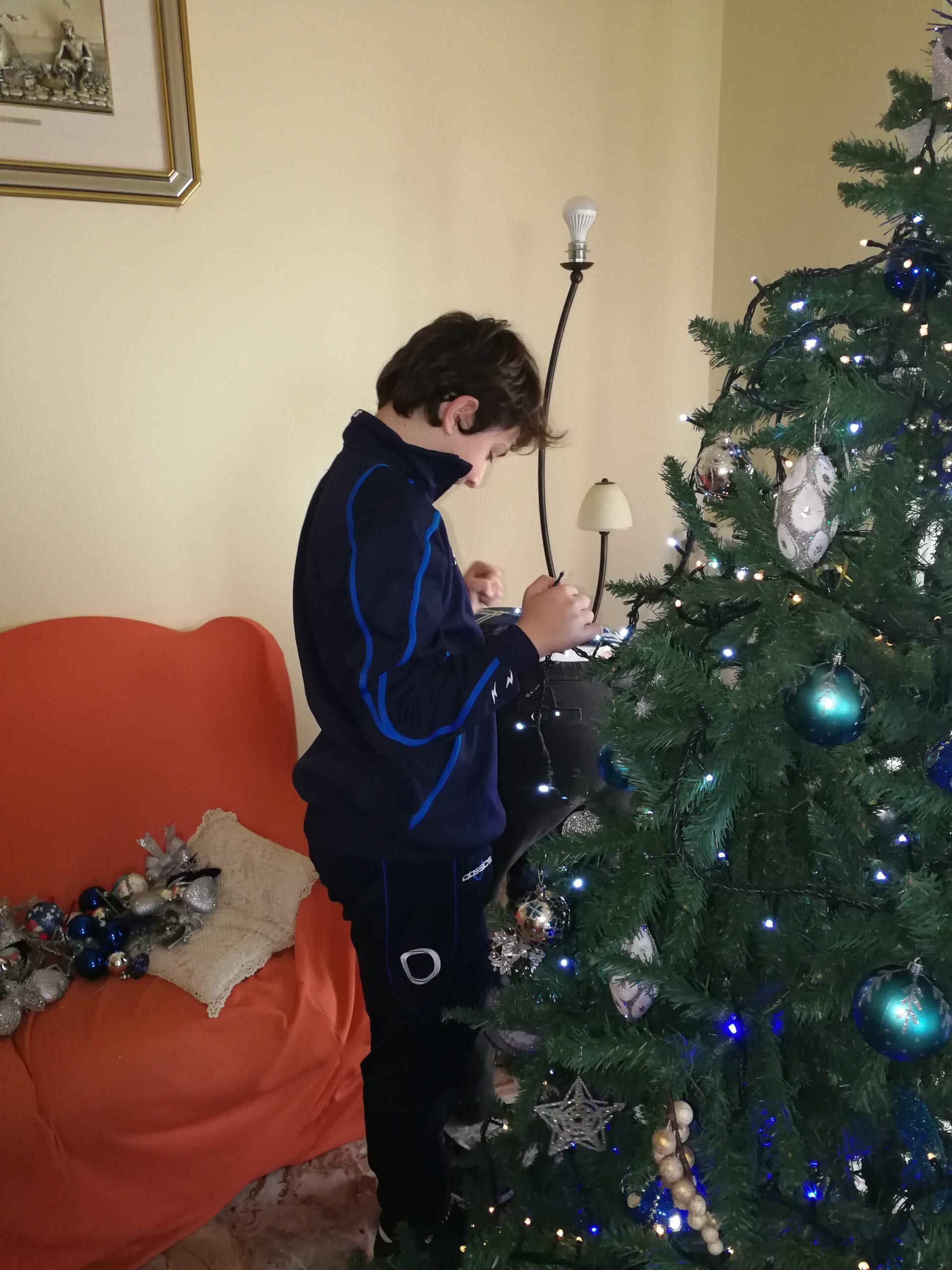 Eugenio prepara albero di natale