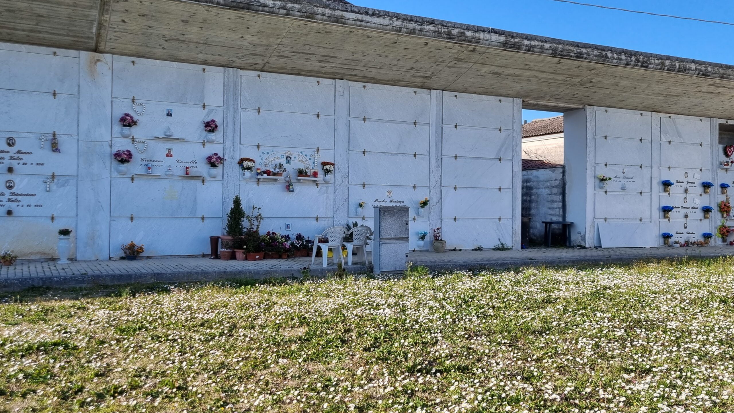 prato fiorito con piccole margherite a casetta di Eugenio