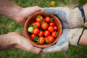 mani condividono frutti della terra