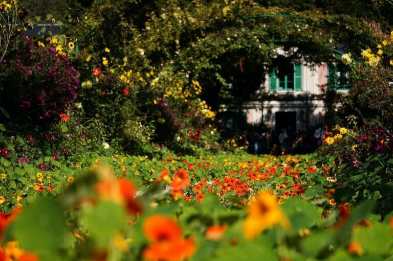 giardino di fiori